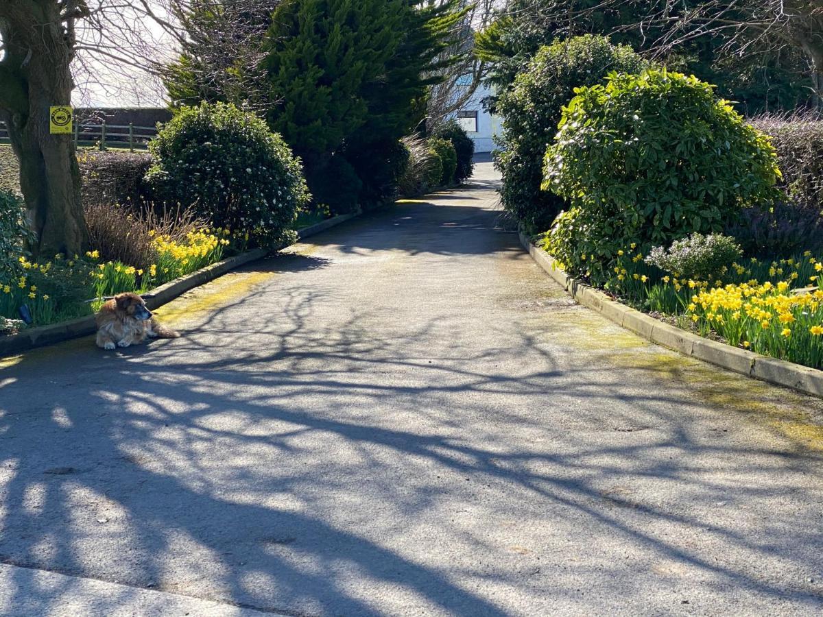 Rose Cottage Captivating 1-Bed Cottage In Bangor Bagian luar foto